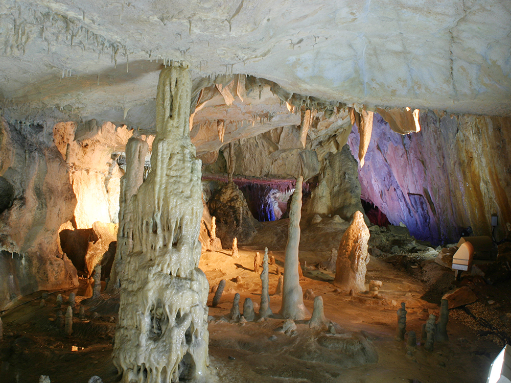 市民記者コラム | 田村市観光サイト