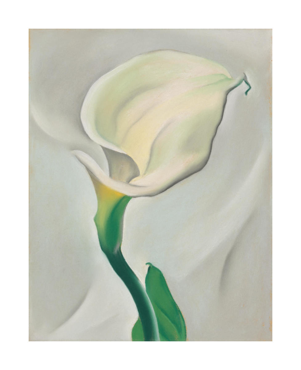 Calla Lily Turned Away, 1923 by Georgia O'Keeffe - Paper Print