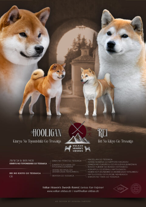 Unsere Shibas – Vulkan Heaven's Swords Shibas