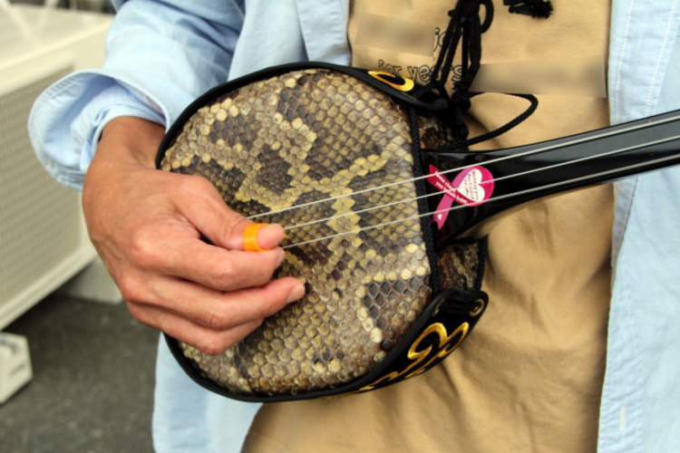 三味線とは？魅力や歴史、種類を解説！ | ワゴコロ