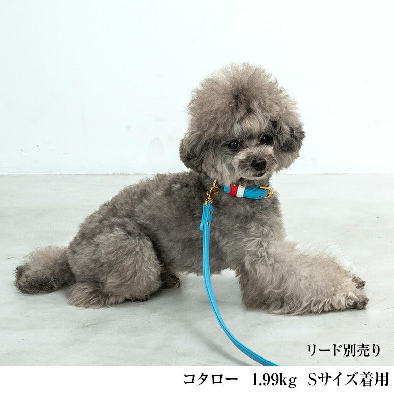 CRAZYBOO / クレイジーブー ベルト通し カラー 首輪 S/M/Lサイズ 犬服