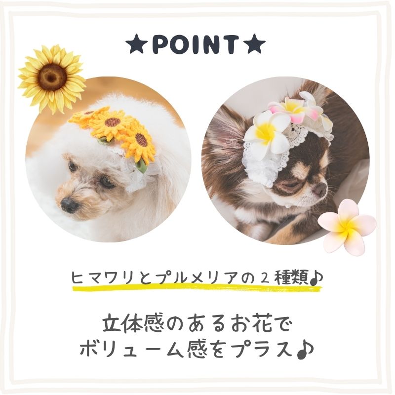 公式通販限定】プルメリアヘアバンド S/M/L SOLGRA -ソルグラ- 犬用