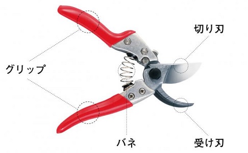 剪定バサミ（剪定鋏・剪定ばさみ）｜アルス〈公式〉園芸刃物ショップ