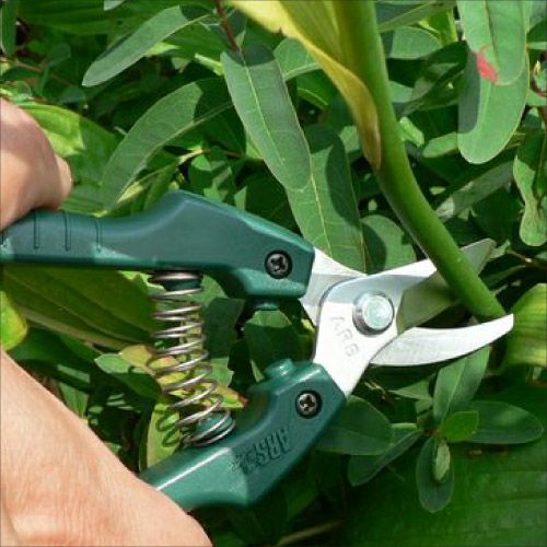 Gクラシック】ガーデニング鋏 剪定タイプ GC-SE-30｜アルス《公式