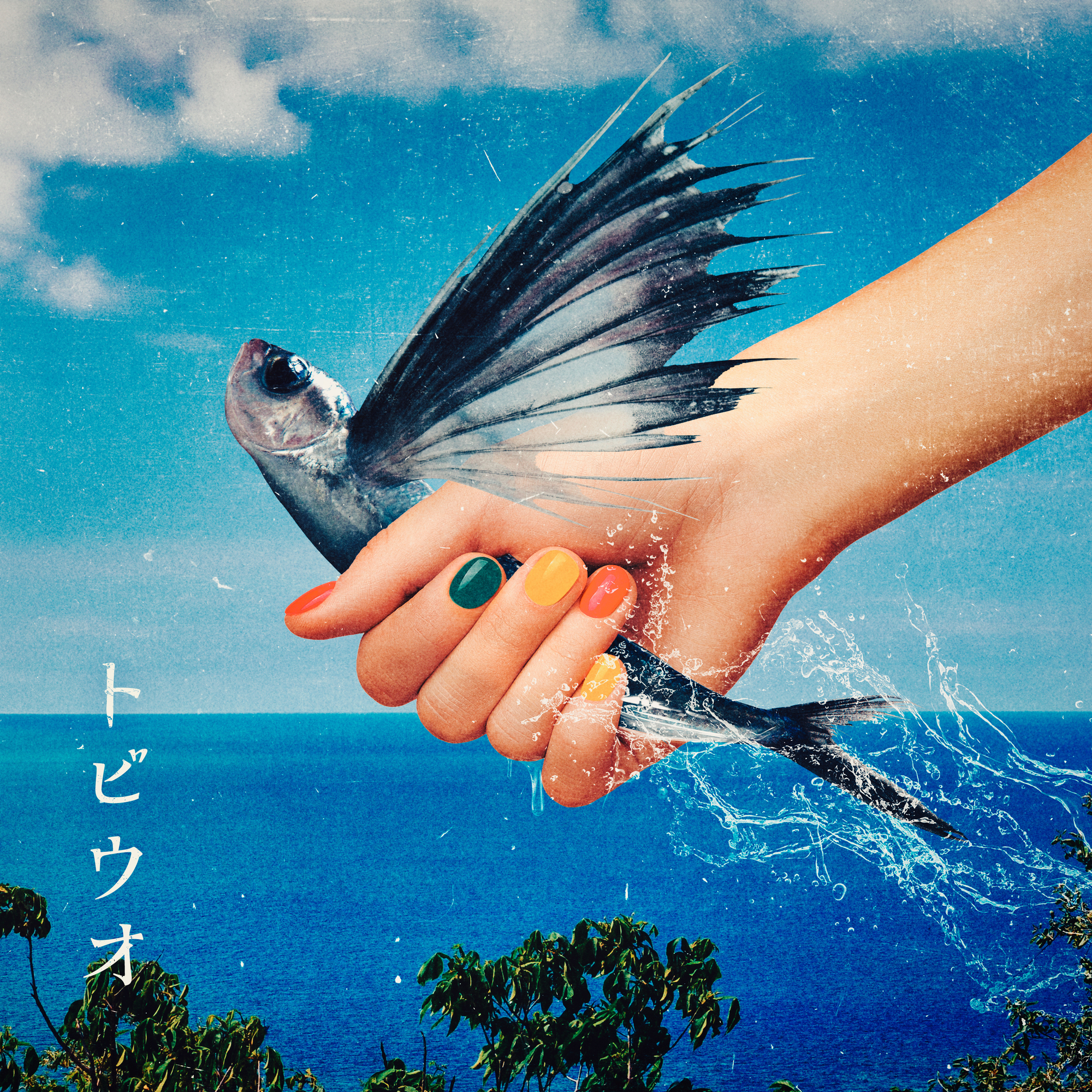 8月13日(水)「トビウオ」先行配信＆MV公開!! | WANIMA