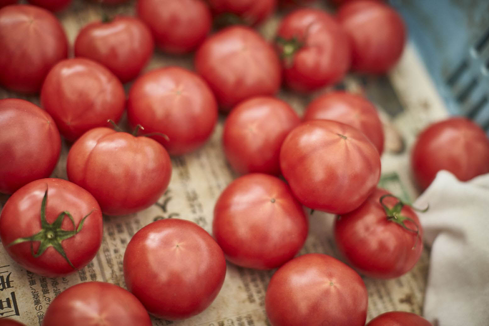 とまとみその作り方NHKに登場 – 高知県日高村 NPO法人 日高わのわ会