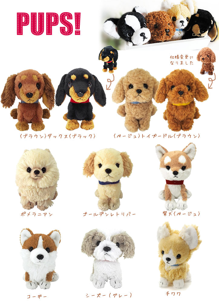 コーギー/シーズー/チワワ/柴犬/ダックス/トイプードル/ポメラニアン