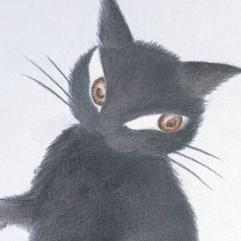 商品一覧 | わちふぃーるどオンラインショップ