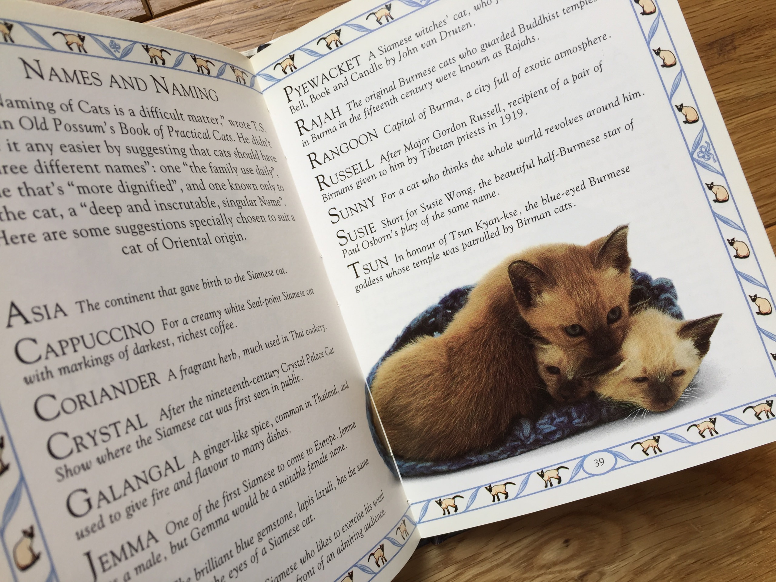 The Little Siamese Cat Book -The Little Cat Library(英語) | 猫本