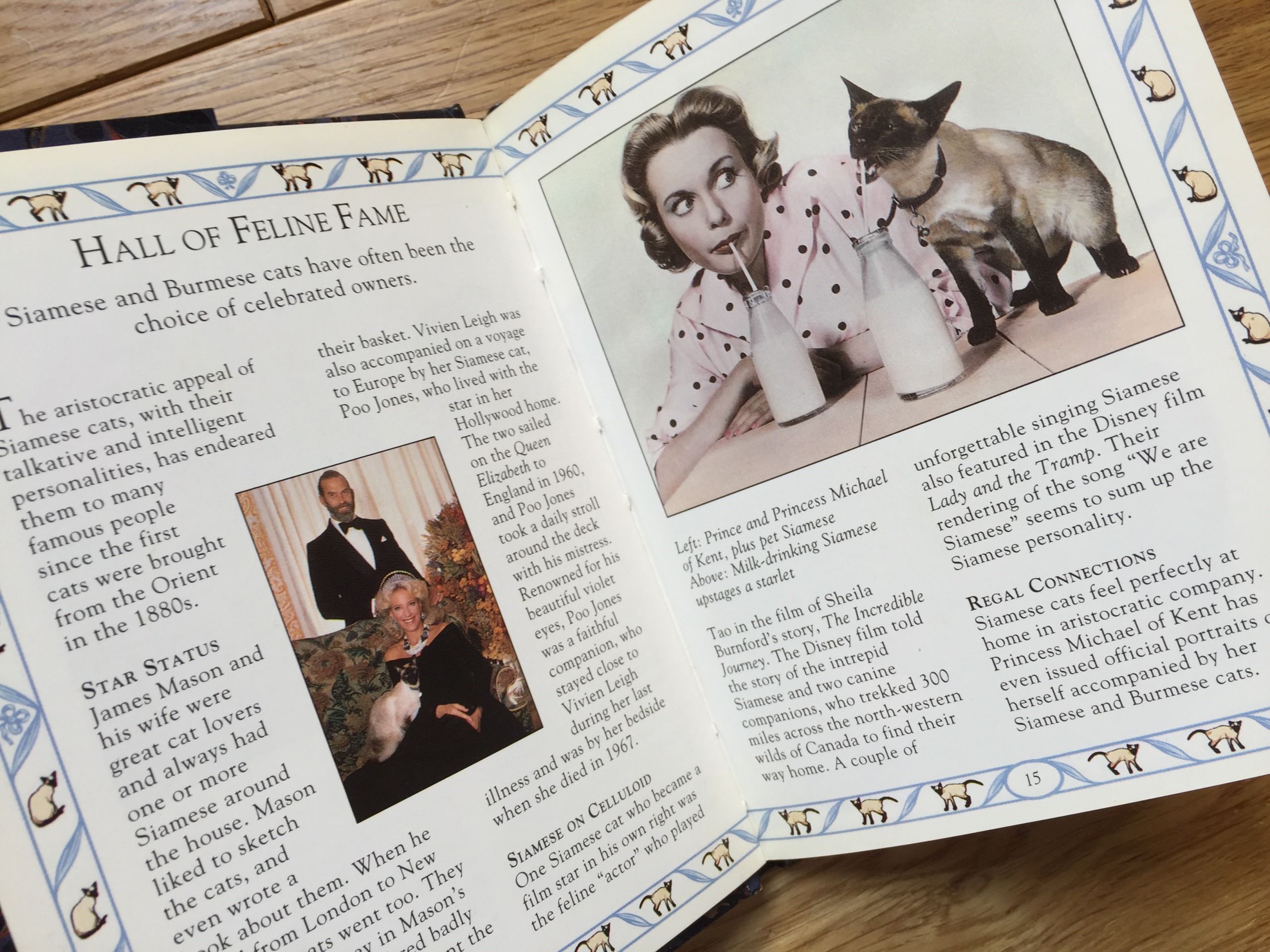 The Little Siamese Cat Book -The Little Cat Library(英語) | 猫本