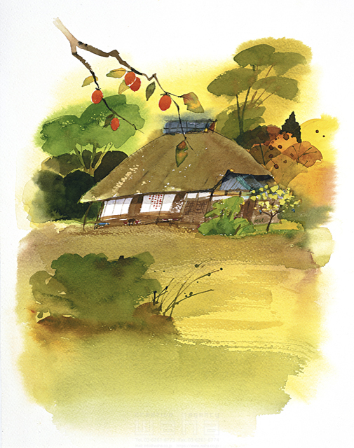 自然、風景、秋、ほのぼの、農村、農家、田舎、古民家、茅葺き屋根