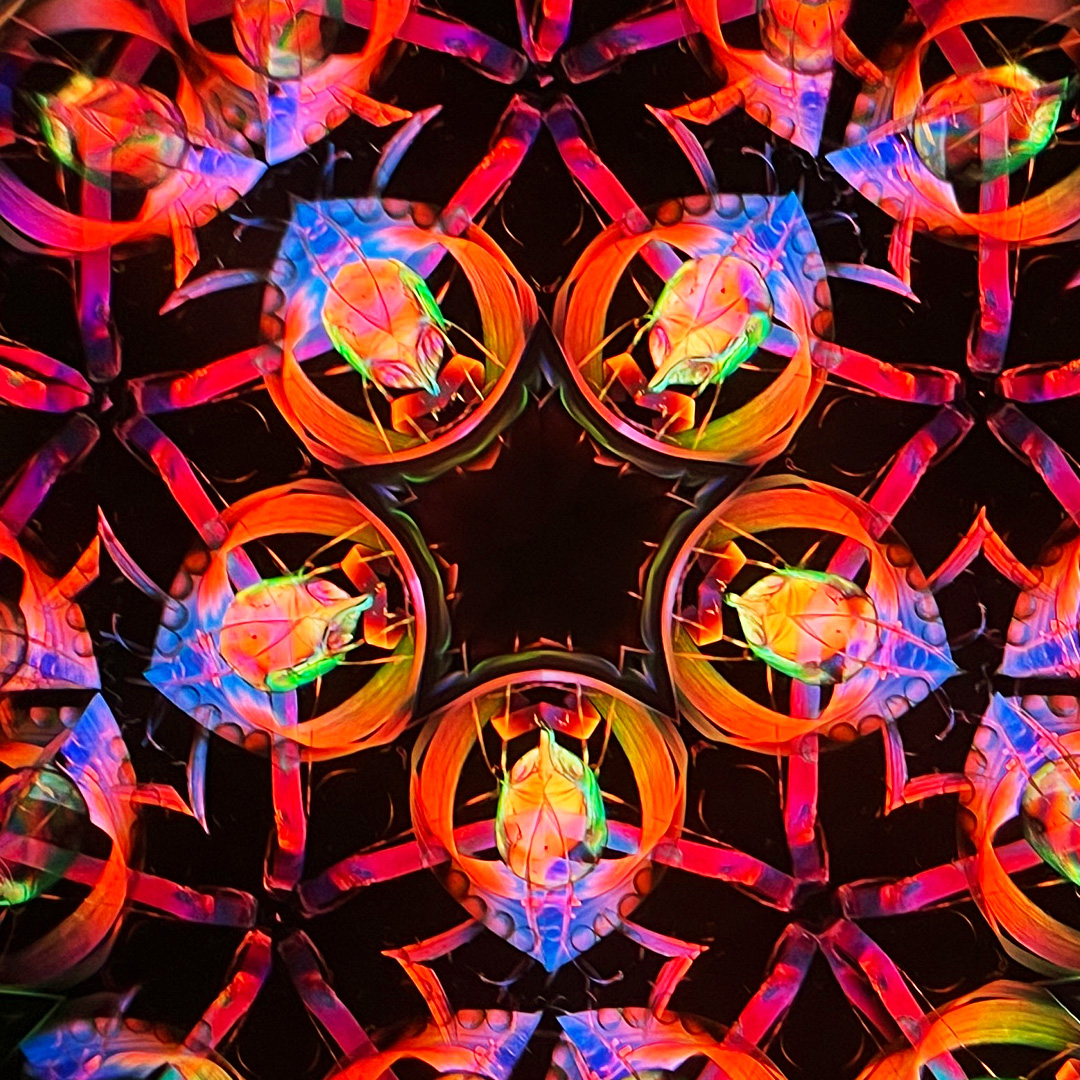 Mirror Cruise カレイドスコープ – 妖 5.H | Mirror Cruise