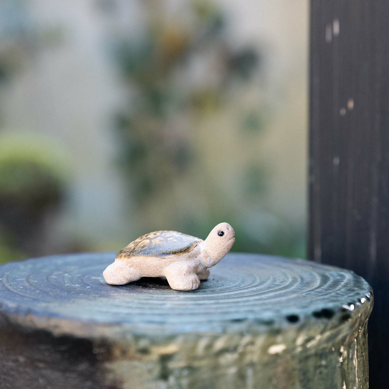 000000002696-05.jpg?size=xl&w=