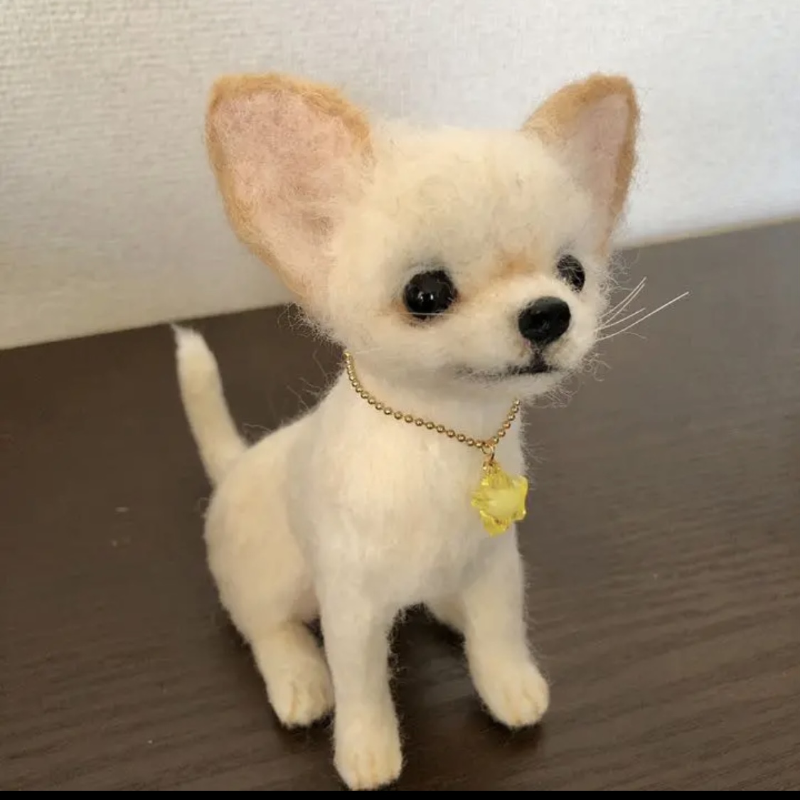 自分の手で可愛いチワワを作るためのブログ【わたわたペットが教える