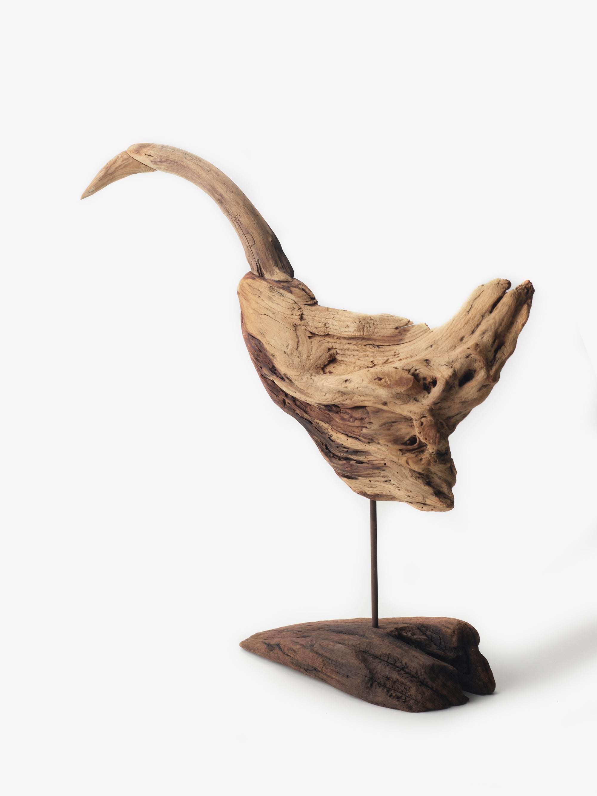 流木の鳥｜針原修