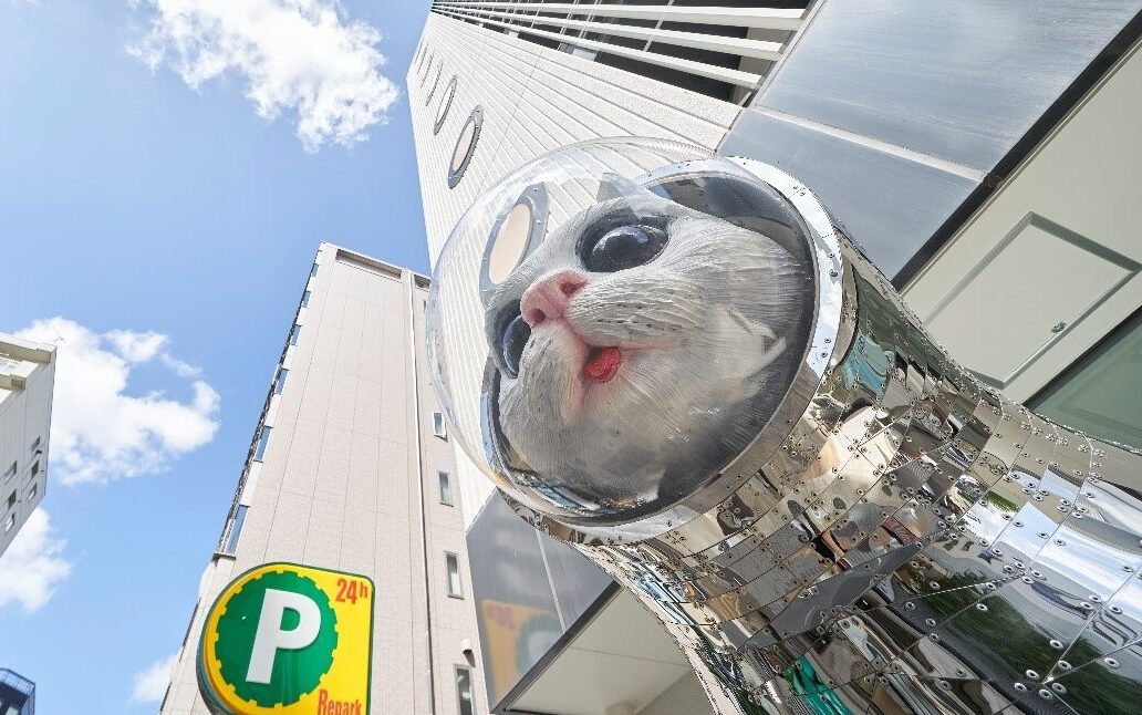 インパクト大＆不思議な猫【SHIP'S CAT】 ｜ WeBase 博多