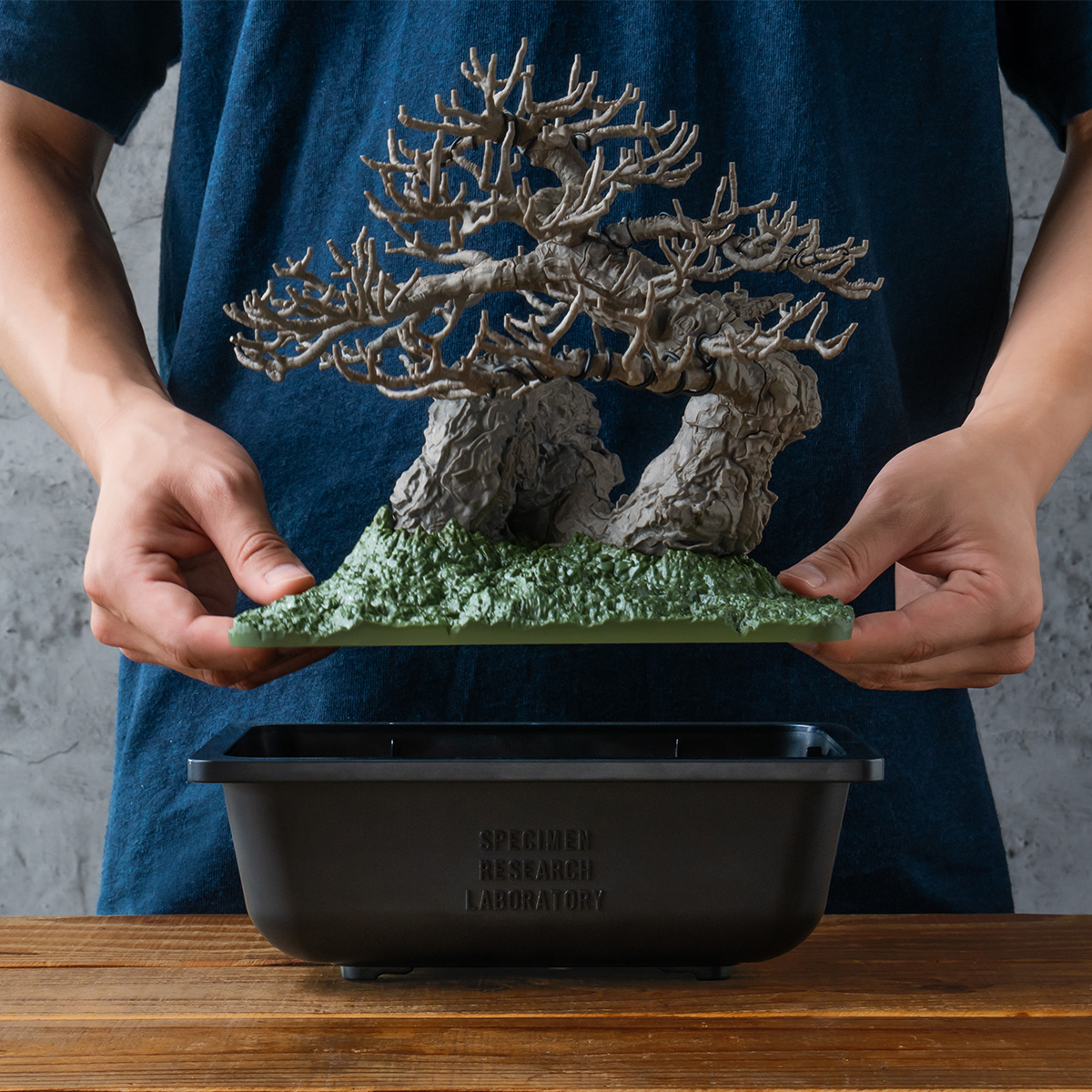 和のセンスが光る！実物の吾妻五葉松の盆栽をモデル化した“BONSAI
