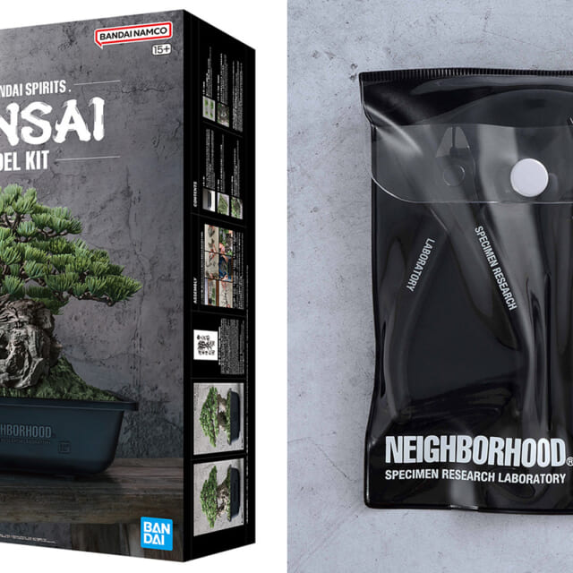 和のセンスが光る！実物の吾妻五葉松の盆栽をモデル化した“BONSAI