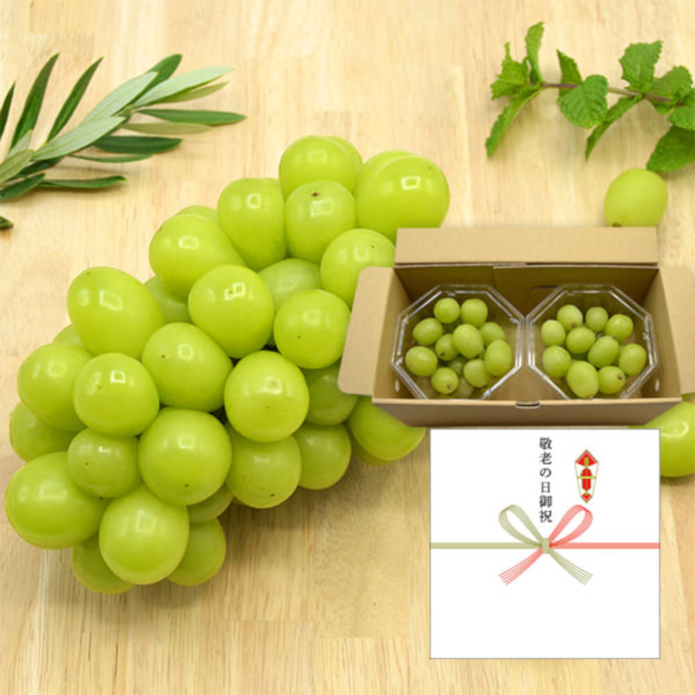 敬老の日ギフト対応】プレミアムシャインマスカット600g【出荷時期：9