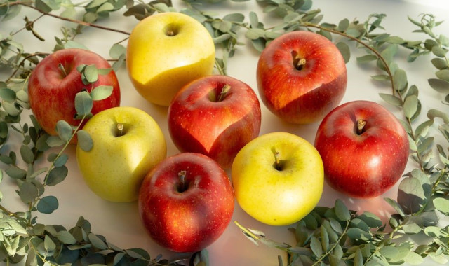 季節のリンゴ詰め合わせ Assort Box3kg（8玉～12玉）【販売期間:3月頃