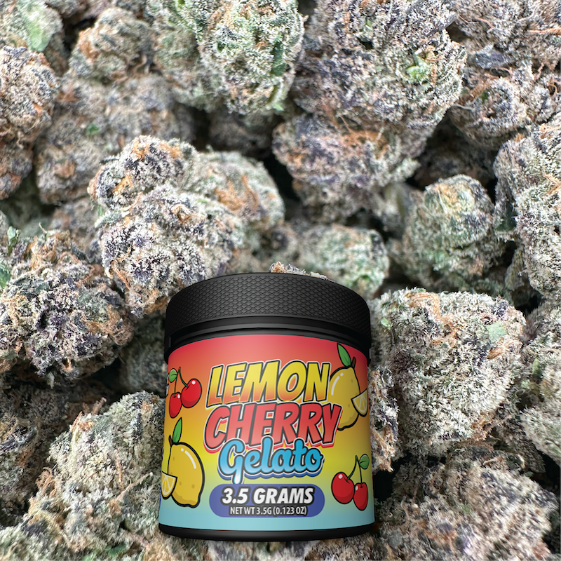 Lemon Cherry Gelato - Hybrid (Indoor) - Weedplugs