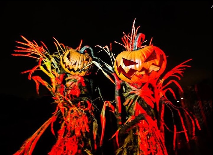 Westchesterにあるハロウィーン恒例のお化け屋敷 | ウェストチェスター