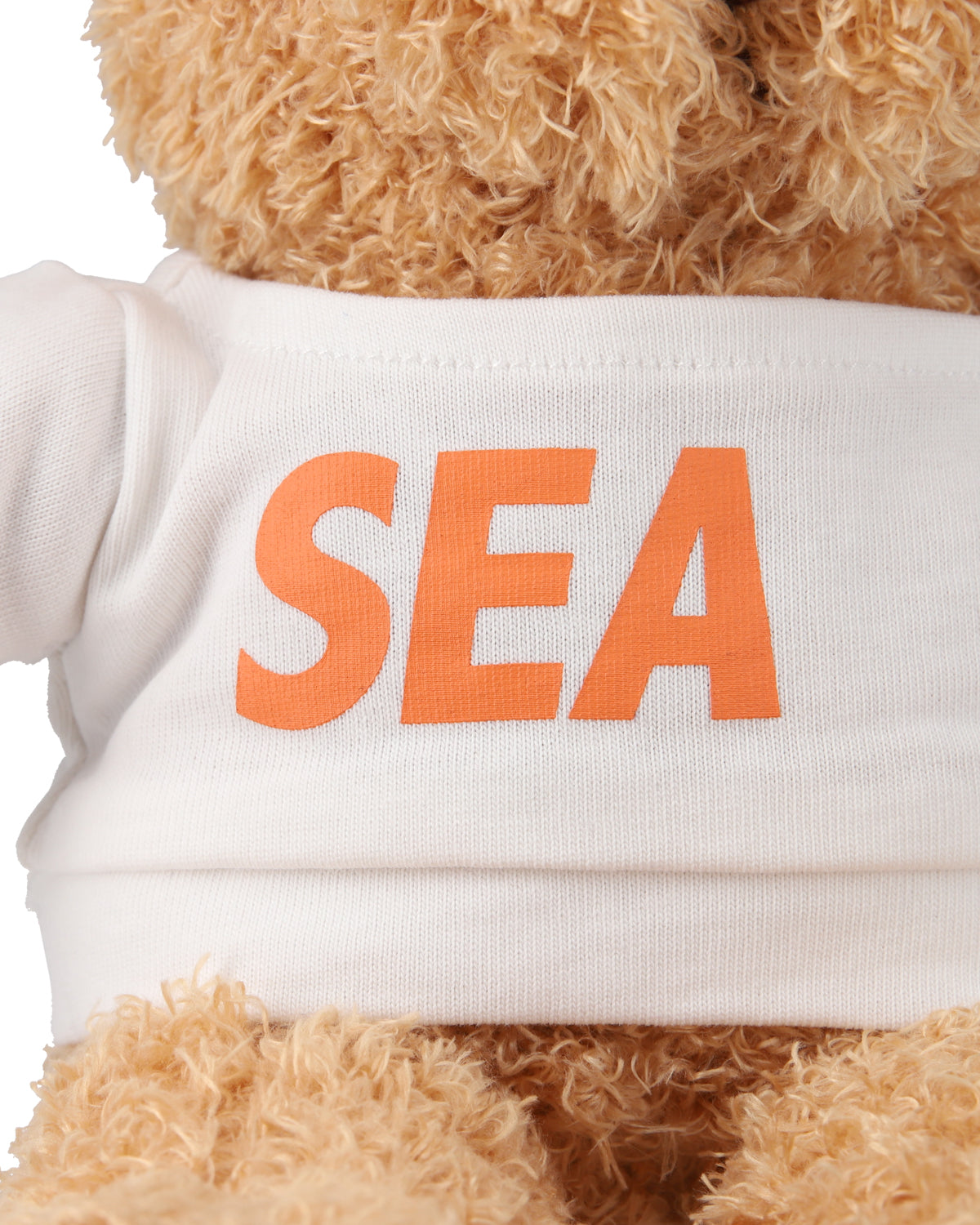 SEA TEDDY BEAR – WIND AND SEA