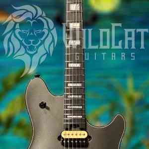 EVH Wolfgang USA HH Floyd Rose Trem Silver Metallic WG16070A