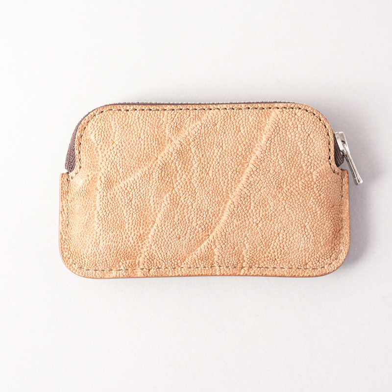 2025 ELEPHANT / MINAS | LIMITED | WILDSWANS(ワイルドスワンズ