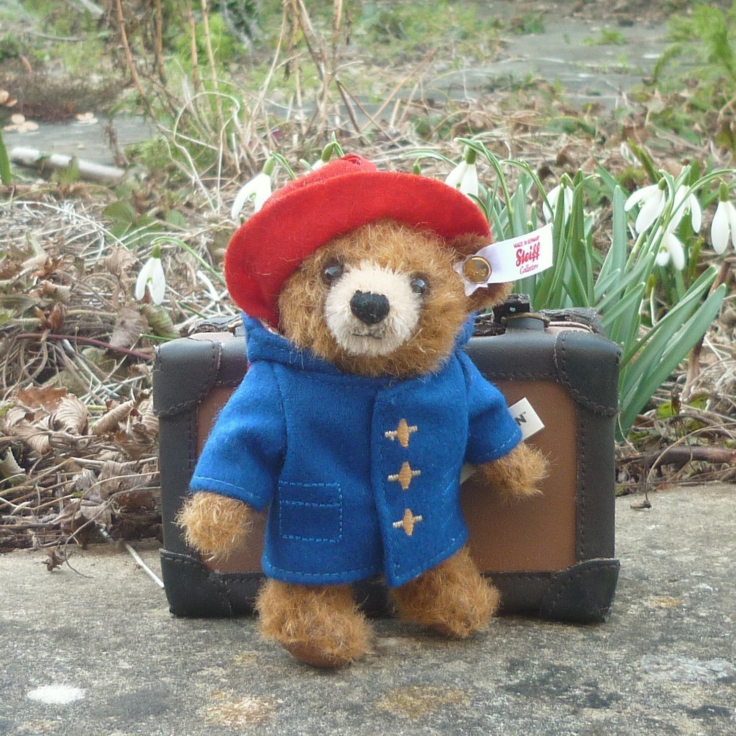 Steiff Paddington Bear™ Ornament – Teddy Bears