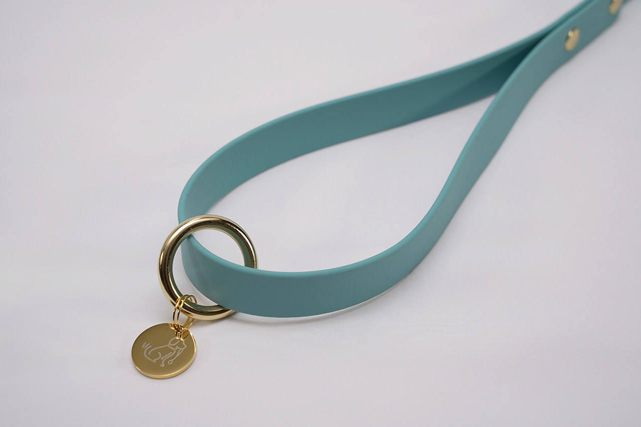 限定色】ショートリード18