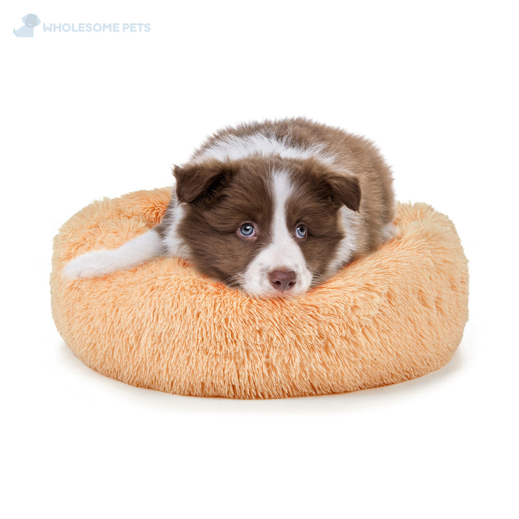 癒しのラグジュアリーベッド – Wholesome Pets Japan