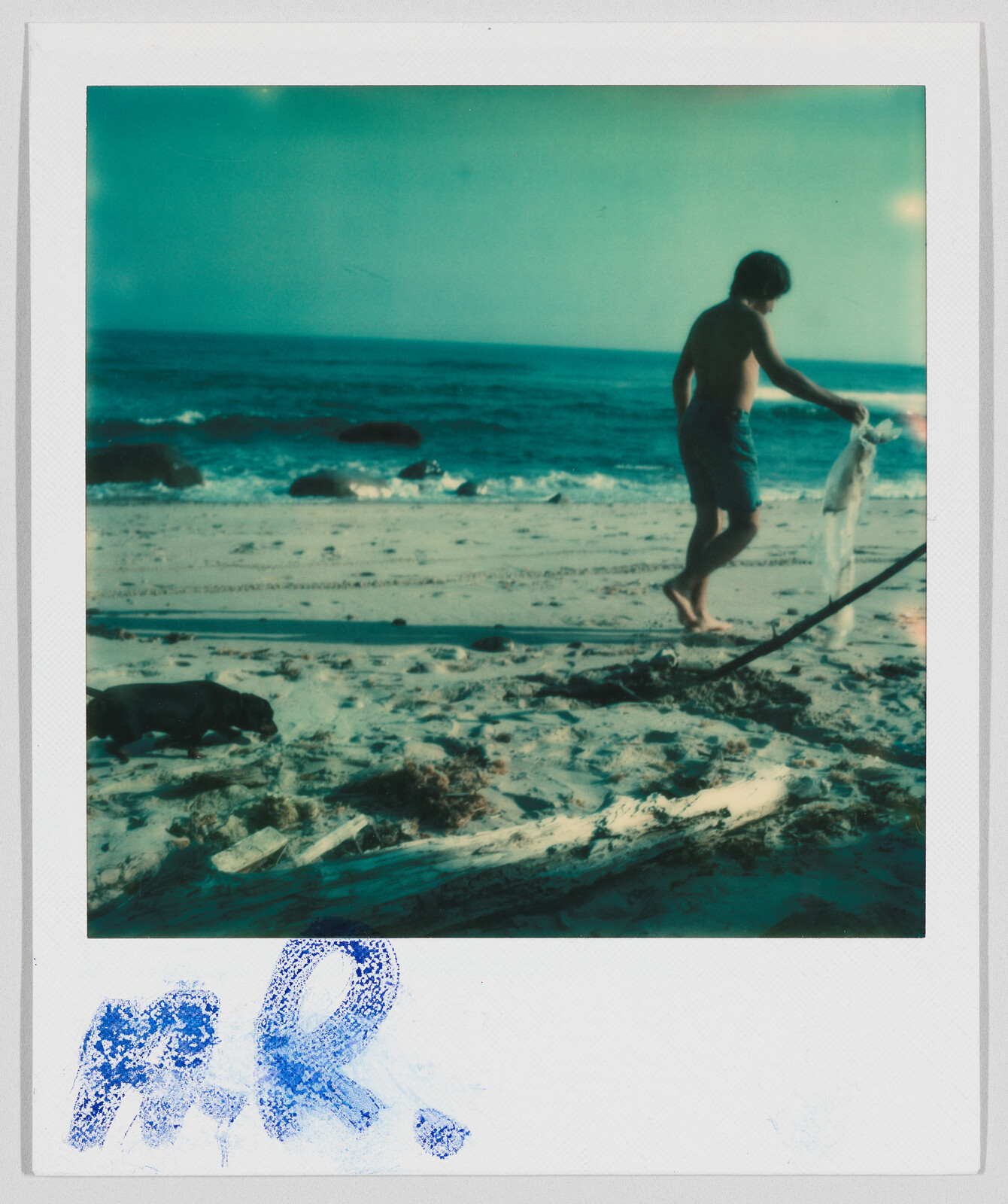 Andy Warhol | (Anthony Radziwill) | Whitney Museum of American Art