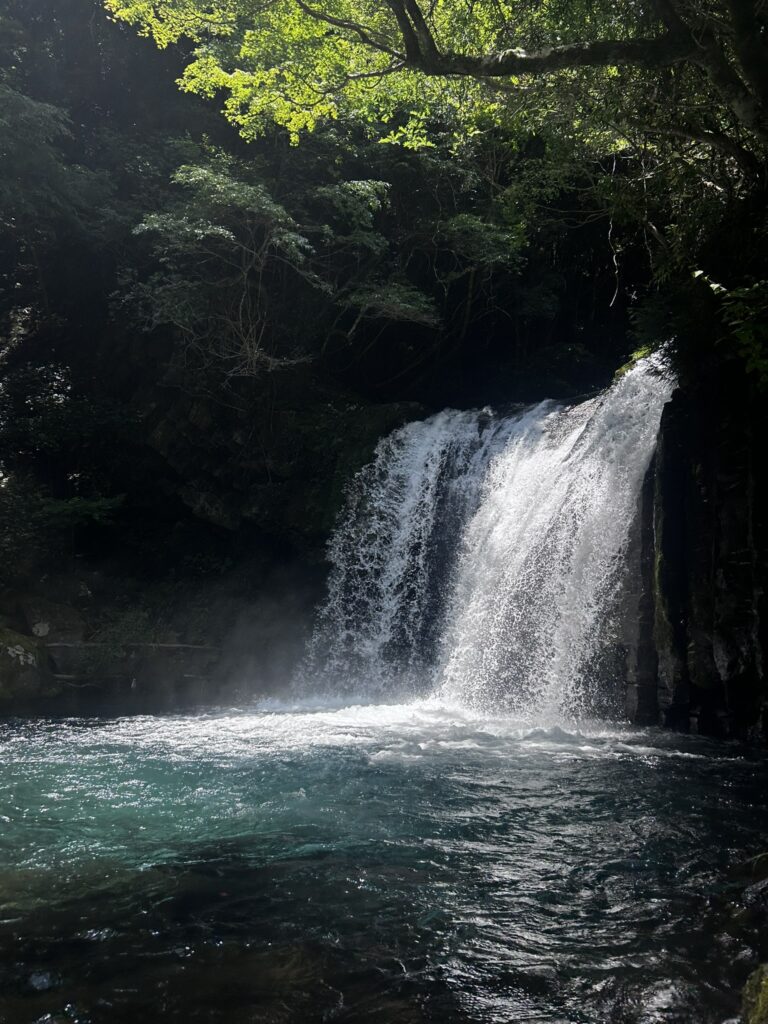 作品紹介】初景滝～伊豆の河津七滝 | Whisper of Color