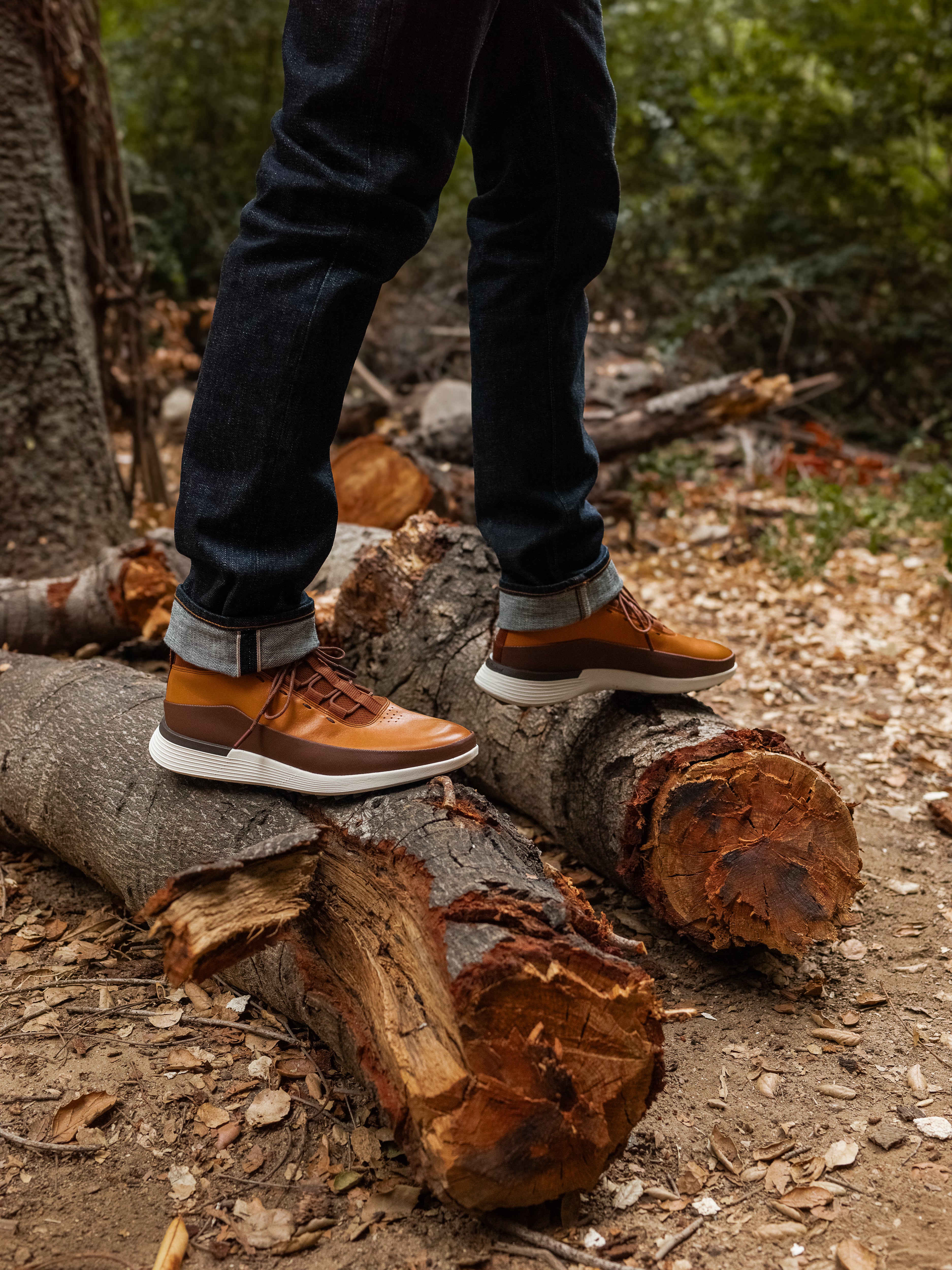 WTZ – Wolf & Shepherd