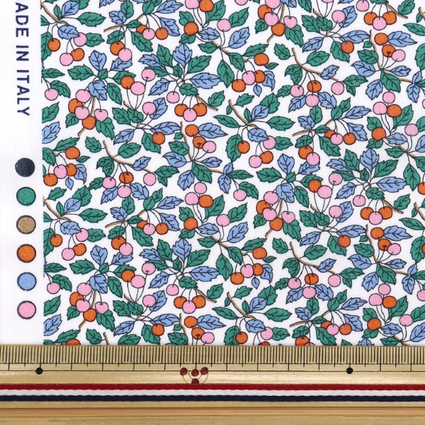 数量5から】 生地 『リバティ・ファブリックス タナローン コリーンズ