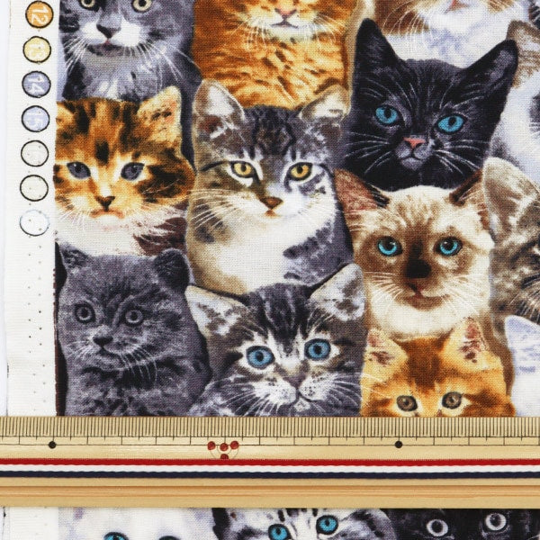 数量5から】 生地 『インクジェットプリント ねこ C8417-MULTI』 USA