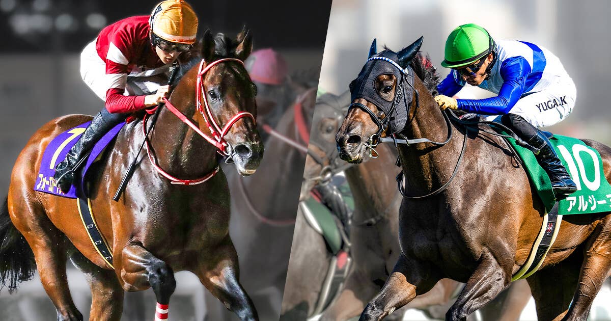 2025ブリーダーズカップ | JRA-VAN World - 海外競馬情報サイト