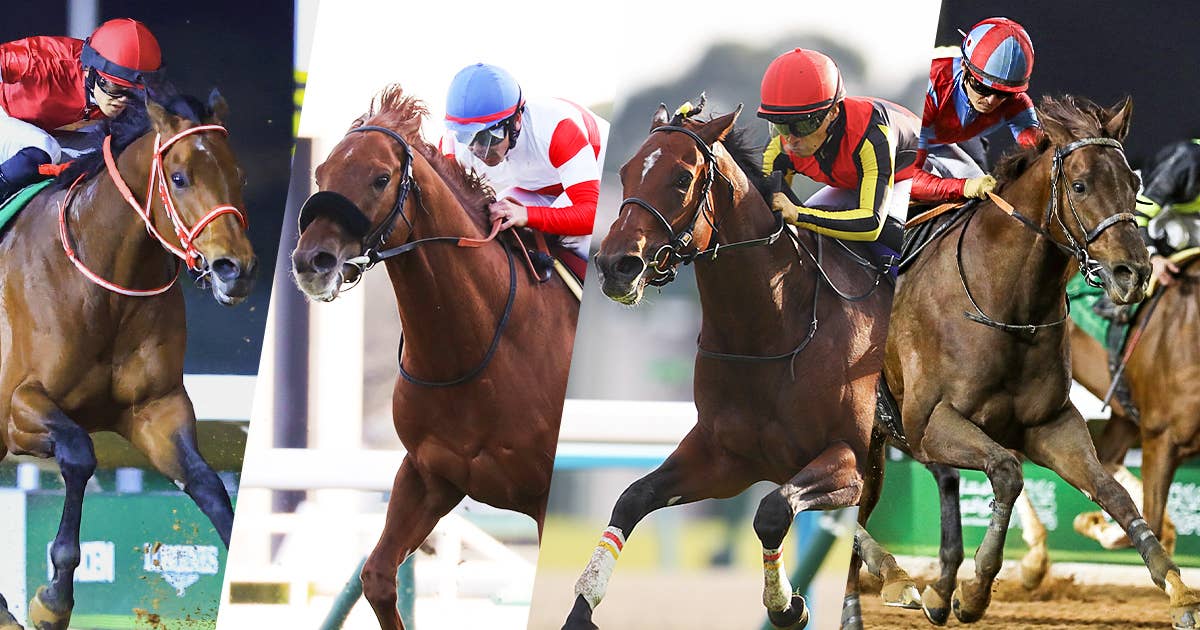 レース概要・過去結果 | 2025ドバイシーマクラシック | JRA-VAN World