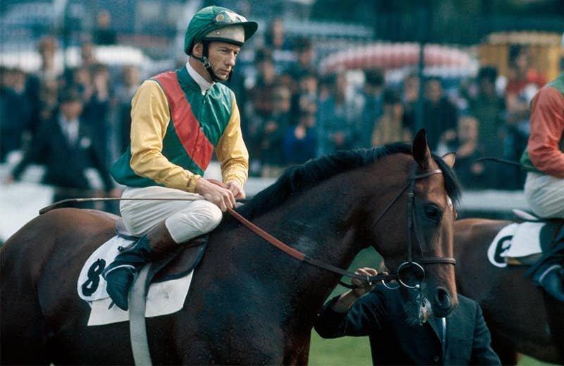 ニジンスキー（Nijinsky） | 競馬データベース | JRA-VAN World - 海外