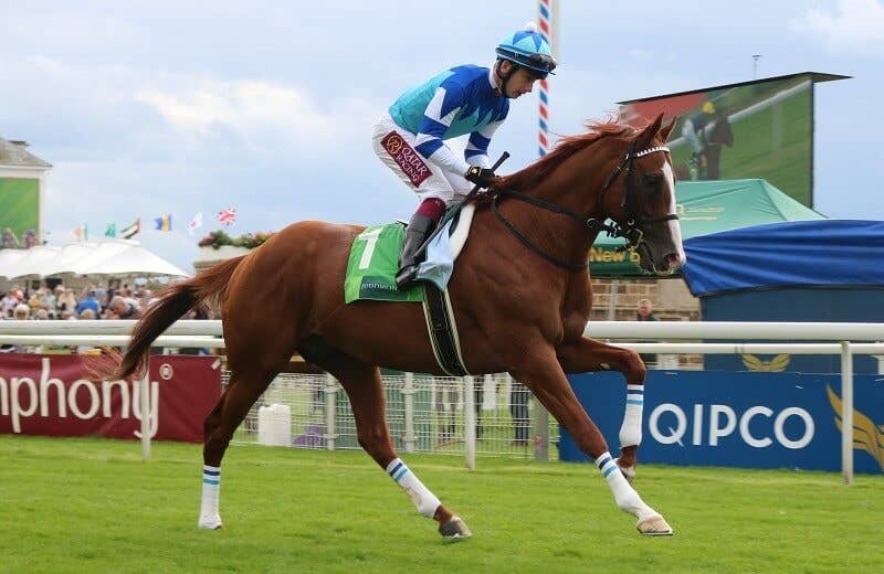 シュヴァルグラン（Cheval Grand） | 競馬データベース | JRA-VAN