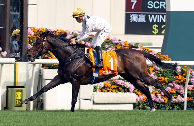 ゴールデンシックスティ（Golden Sixty） | 競馬データベース | JRA