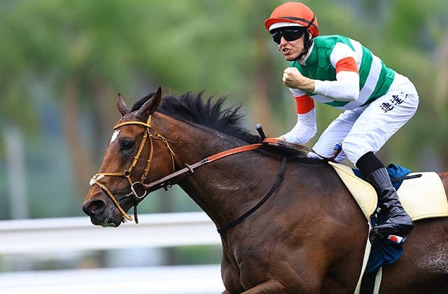 2025クイーンエリザベス2世カップ | JRA-VAN World - 海外競馬情報サイト