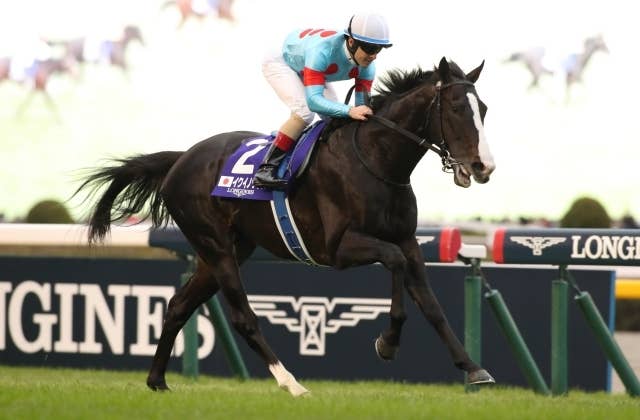 イクイノックス（Equinox） | 競馬データベース | JRA-VAN World