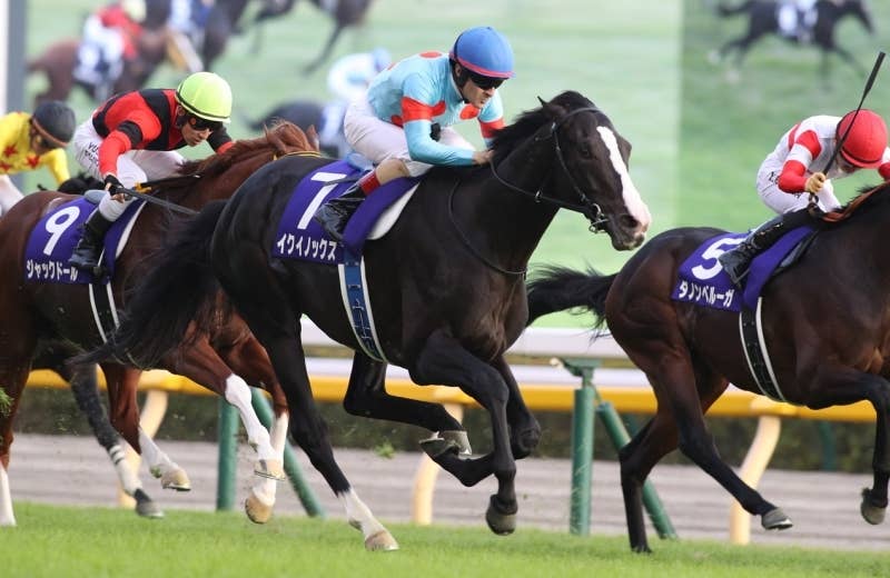 イクイノックス（Equinox） | 競馬データベース | JRA-VAN World
