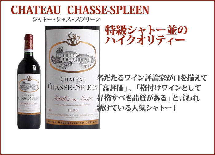 シャトー・シャス・スプリーン 2019年 フランス ボルドー 赤ワイン
