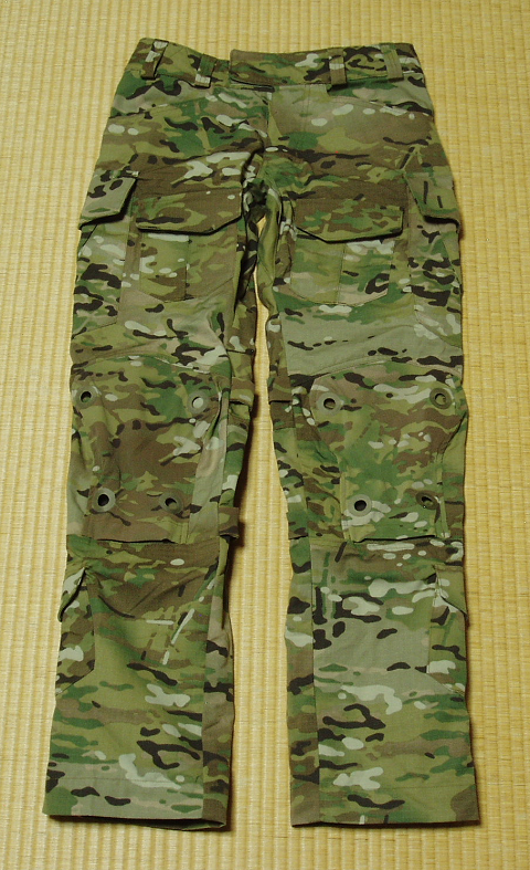 Patagonia LEVEL 9 TEMPERATE PANT: WRG-BLOG