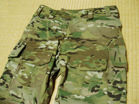 Patagonia LEVEL 9 TEMPERATE PANT: WRG-BLOG