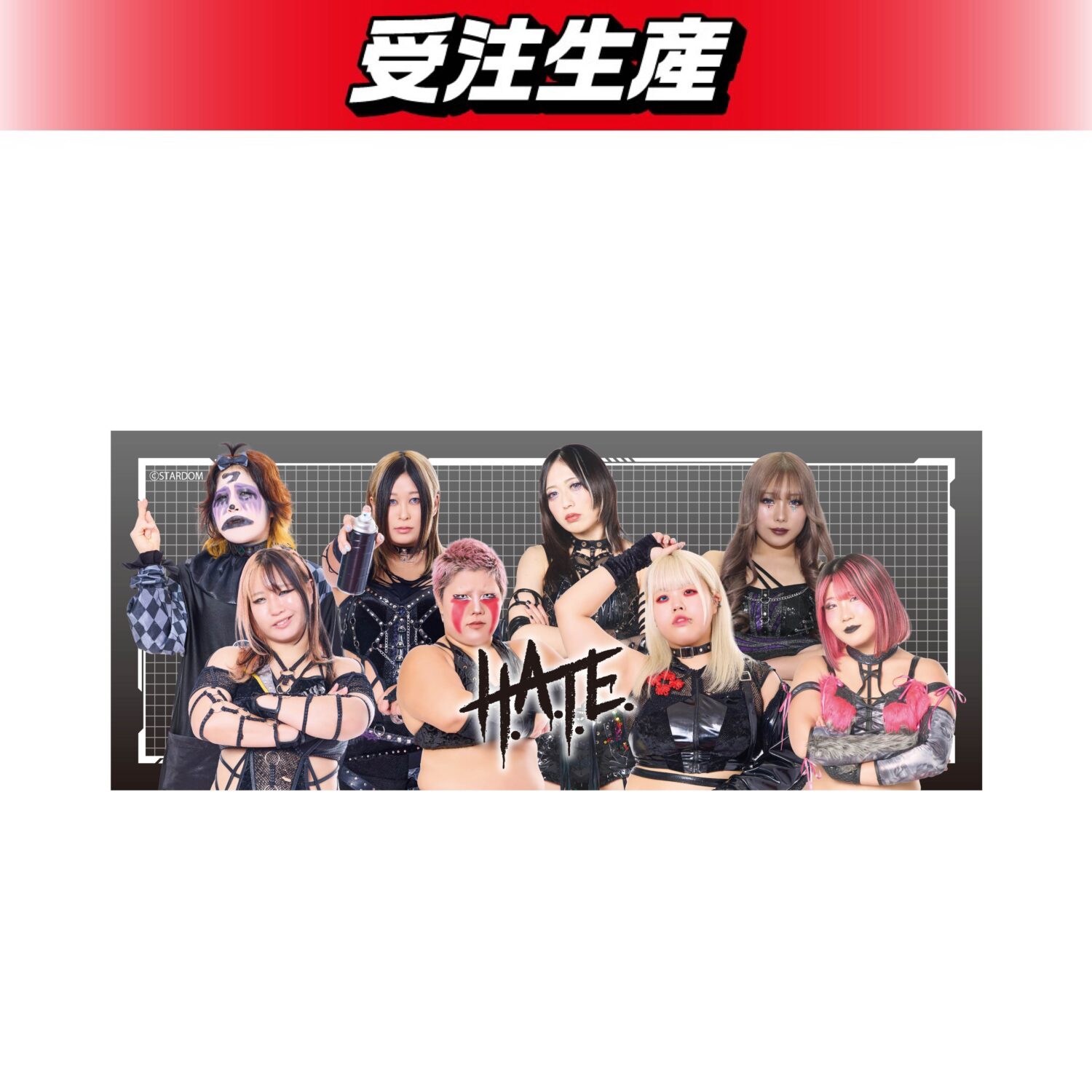 DMMオンクレにてSTARDOM全42選手のオリジナルグッズが登場！9月11日