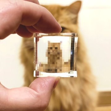 PixLens (低解像度ver.)｜Monoli SHOP